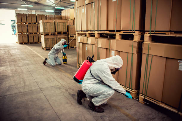 Best Best Pest Control Companies  in West Brownsville, PA