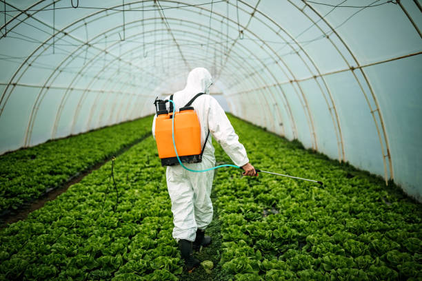 Best Ant Control Services  in West Brownsville, PA