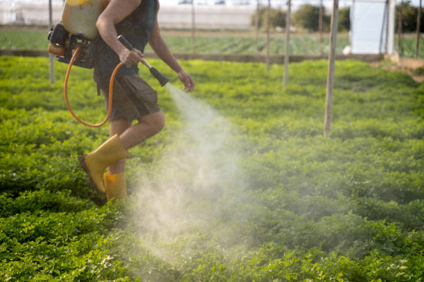Best Pest Prevention Services  in West Brownsville, PA