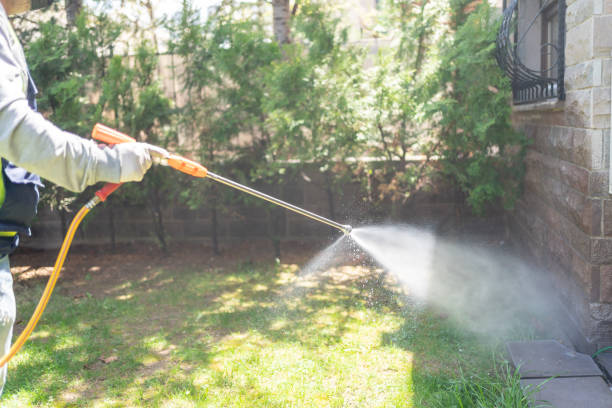 Reliable West Brownsville, PA Pest Control Solutions