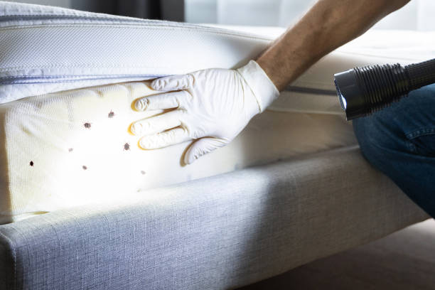 Best Pest Inspection Near Me  in West Brownsville, PA