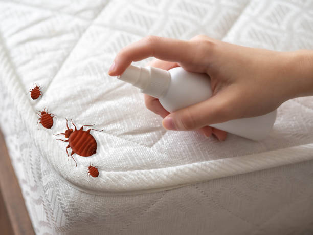 Best Pest Control Near Me in West Brownsville, PA